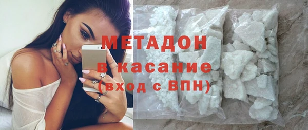 хмурый Аркадак