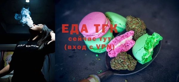 хмурый Аркадак