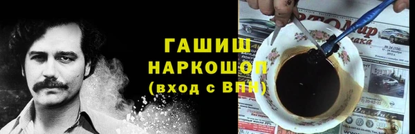хмурый Аркадак