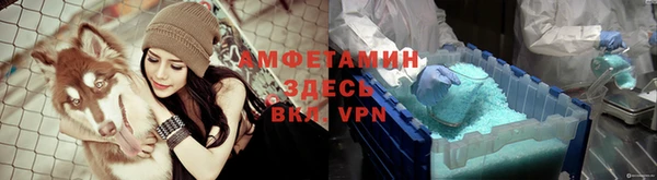 хмурый Аркадак