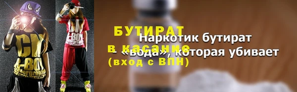 хмурый Аркадак
