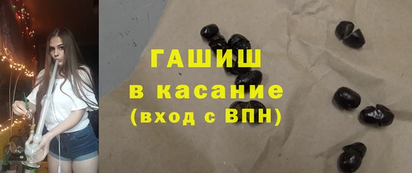 хмурый Аркадак