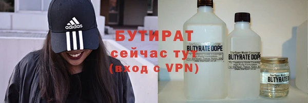 хмурый Аркадак